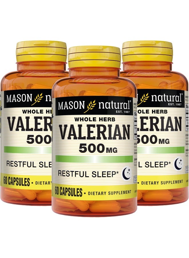 Mason Natural Valerian Root 500 mg - Natural Sleep Aid, Promotes Healthy and Restful Sleep, Herbal Supplement, 60 Capsules (Pack of 3) - Image 1